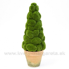 Bonsaj machový kúžel 40cm - zľava 50% Bonsaj machový kúžel 40cm - zľava 50%