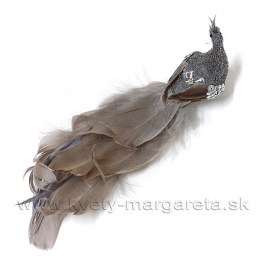 Páv na štipci dlhý chvost glitrový pás strieborný 25cm Páv na štipci dlhý chvost glitrový pás strieborný 25cm