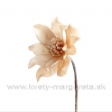 Penová magnólia mašličkový stred light peach 30cm