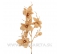 Vetva Orchidea zlatá 50cm