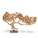 Zlatý bonsaj borovica 28cm