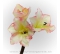 Amarylka satén krémovo rúžová 3-kvetá