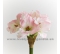 Amarylka 5-kvetá rúžová