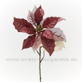 Vianočná ruža mix listov Burgundy- zľava 50% Vianočná ruža mix listov Burgundy- zľava 50%