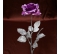 Ruža fialovo-rúžová LUREX
