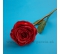 Ruža Mirelli hlava 15cm jahodová