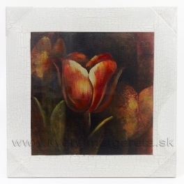 Obraz na plátne polychrom Tulipán 40x40cm zľava  - 40%