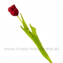 Tulipán s listami Satén červený 50cm
