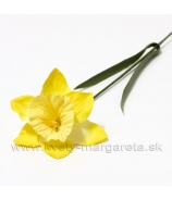 Narcis žltý mikroplyš 60cm