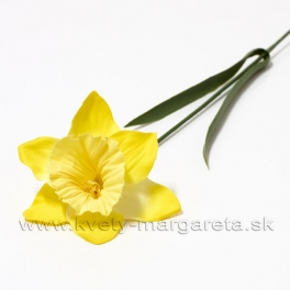 Narcis žltý mikroplyš 60cm