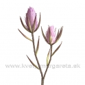 Vetva penová Protea x2 hlavy fialová 70cm