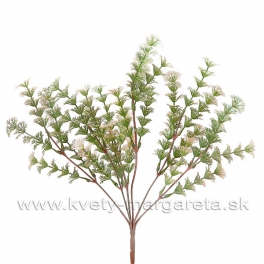 Rastlinka praslička Ambulia zeleno-rúžová 35cm