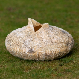 Cibulka nádoba Brezová kôra placatá 30cm - zľava 50% Cibulka nádoba Brezová kôra placatá 30cm - zľava 50%